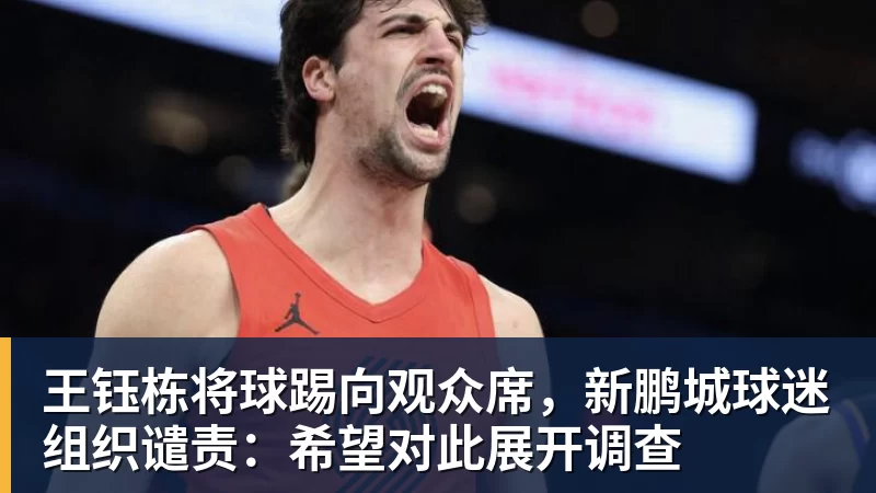 mk体育王钰栋将球踢向观众席,新鹏城球迷组织谴责:希望对此展开调查