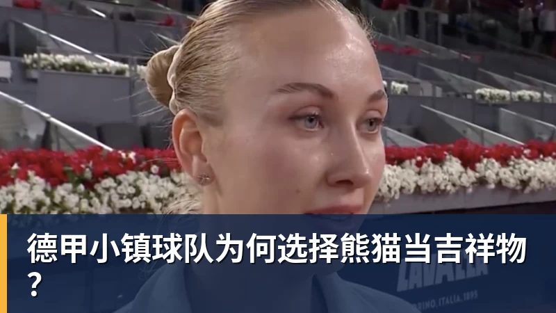 德甲小镇球队为何选择熊猫当吉祥物?